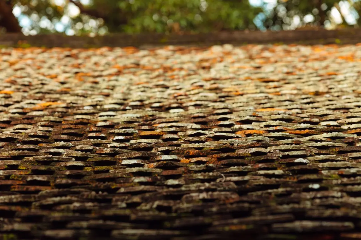 Aging shingle roof with moss growth and granule loss in Norman, OK